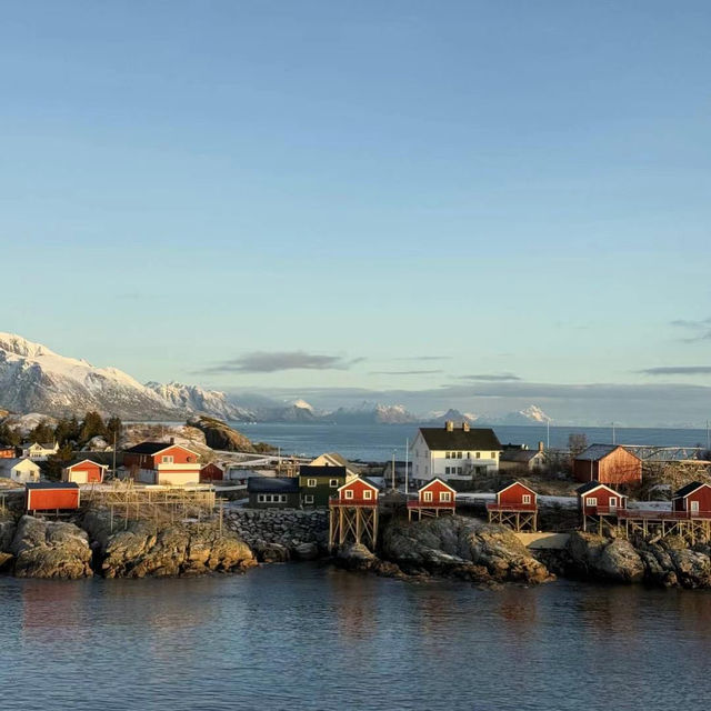 Fresh caught cod in Norwegian village 🇳🇴🎣