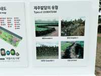 🆓🈚️ 무료 관광지 - 제주 밭담