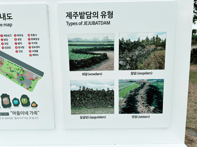 🆓🈚️ 무료 관광지 - 제주 밭담