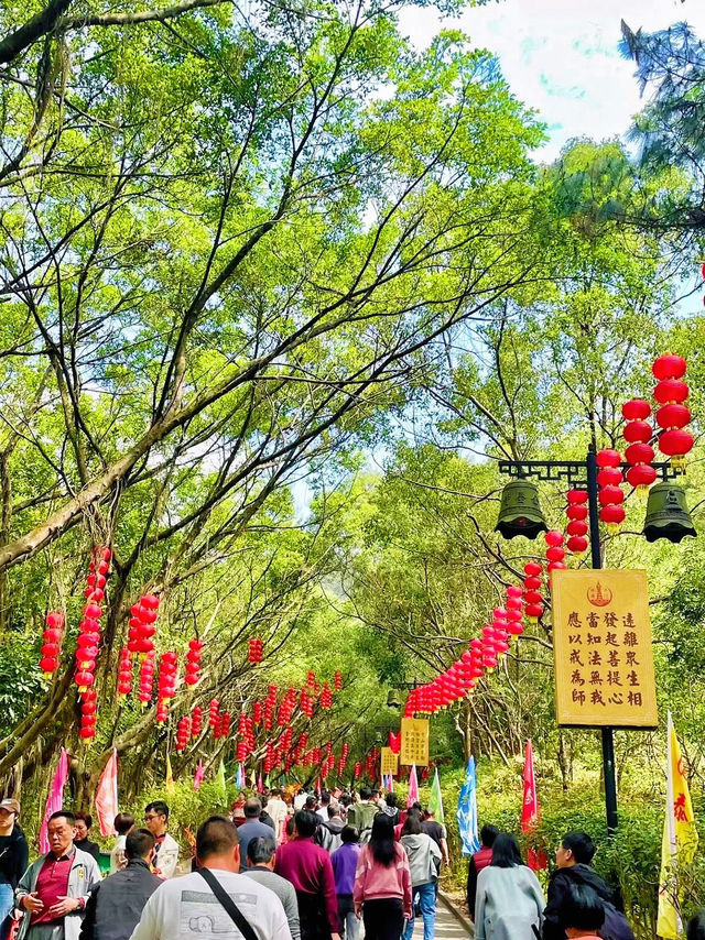 ⛩️ 珠海金台寺：歷史與禪意交織的佛教聖地 🏯