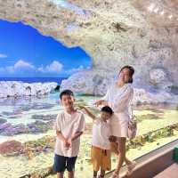 【 超夢幻非一般的海洋體驗 | DMM水族館 】