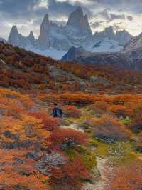 สัมผัสความสวยงามของเส้นทาง Patagonia 