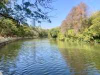 週末好去處🔥如非洲草原般的深圳「東湖公園」🌴🏞️