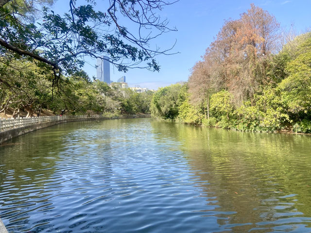 週末好去處🔥如非洲草原般的深圳「東湖公園」🌴🏞️