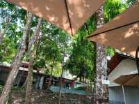 Gunung Lambak Kluang Johor,it is free to explore the nature