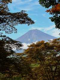 Arakurayama Sengen Park: Fall Colors & Fuji Views