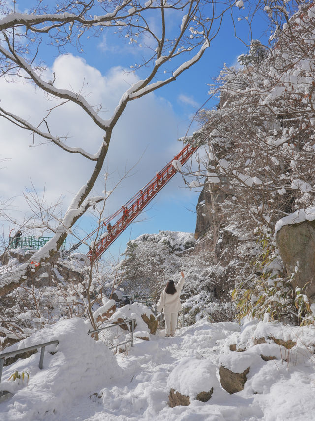 (실시간) 정말 눈물 날 만큼 아름다웠던 올 겨울 꼭 다녀와야 할 설산❄️🩵