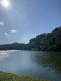 桃園 三坑自然生態公園 🏞️ 自然之景 山明水秀