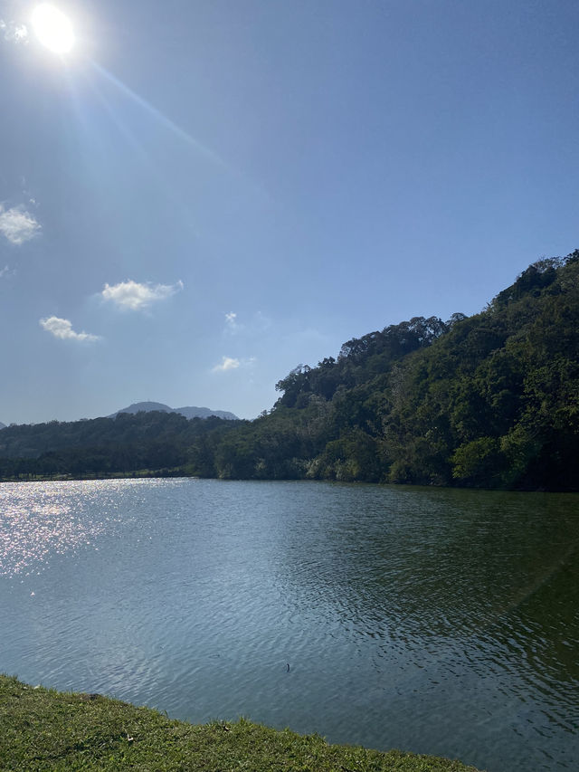 桃園 三坑自然生態公園 🏞️ 自然之景 山明水秀