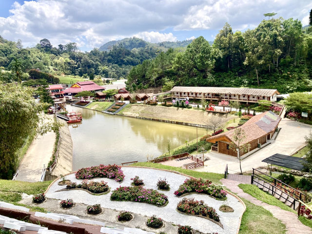 Betong Winter Flowers Garden
