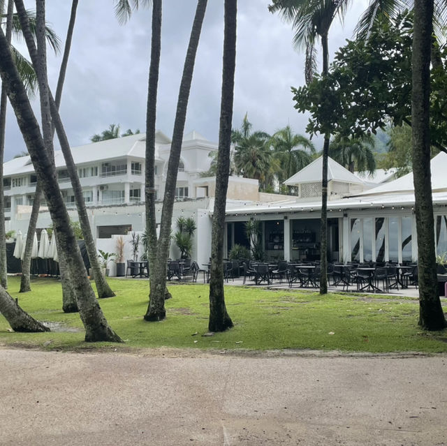 【オーストラリア】静かな楽園！癒しのビーチリゾート・パームコーブ 🏝️🌿