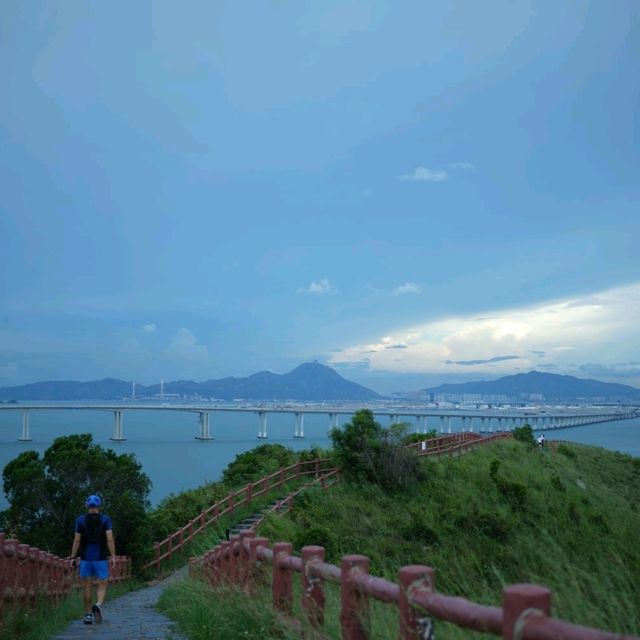 香港 香港貓島 end