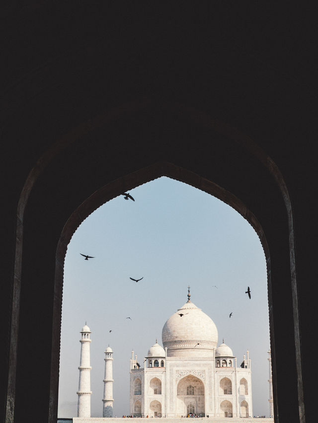 Colors of Agra Fort