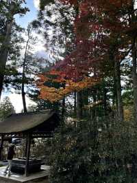 🇯🇵【和歌山】高野山真言宗　総本山金剛峯寺