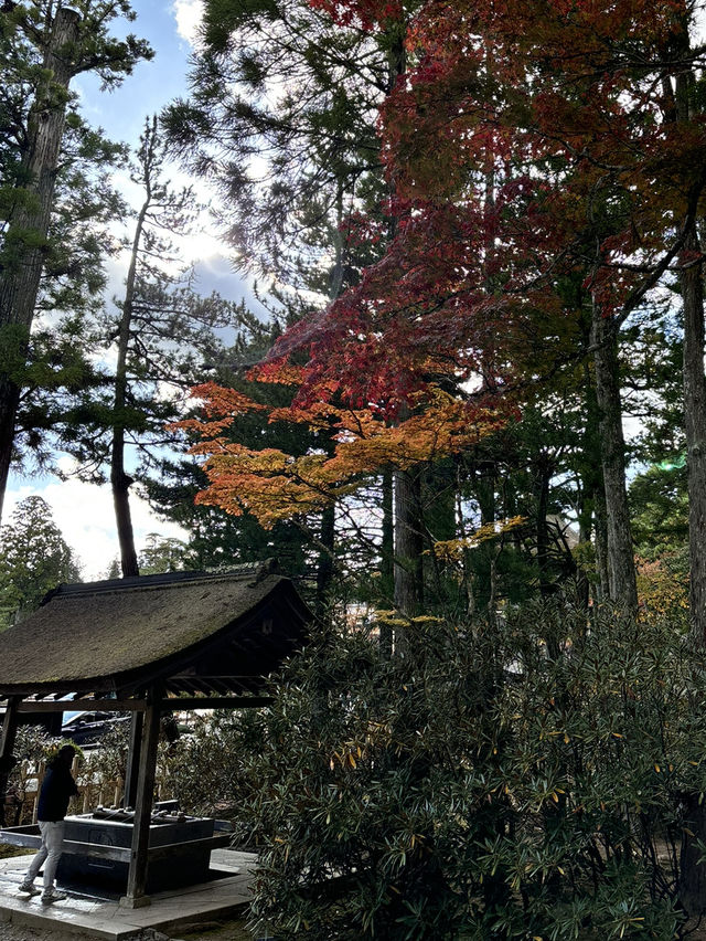 🇯🇵【和歌山】高野山真言宗　総本山金剛峯寺