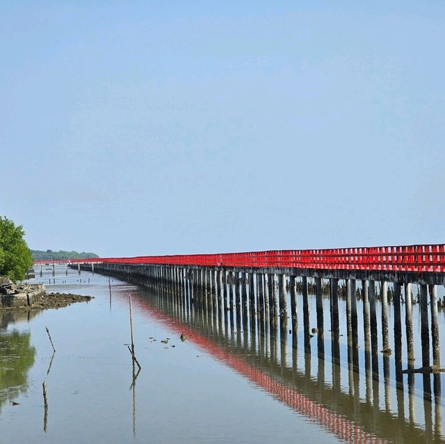 สะพานแดง จุดชมวิวปลาโลมา