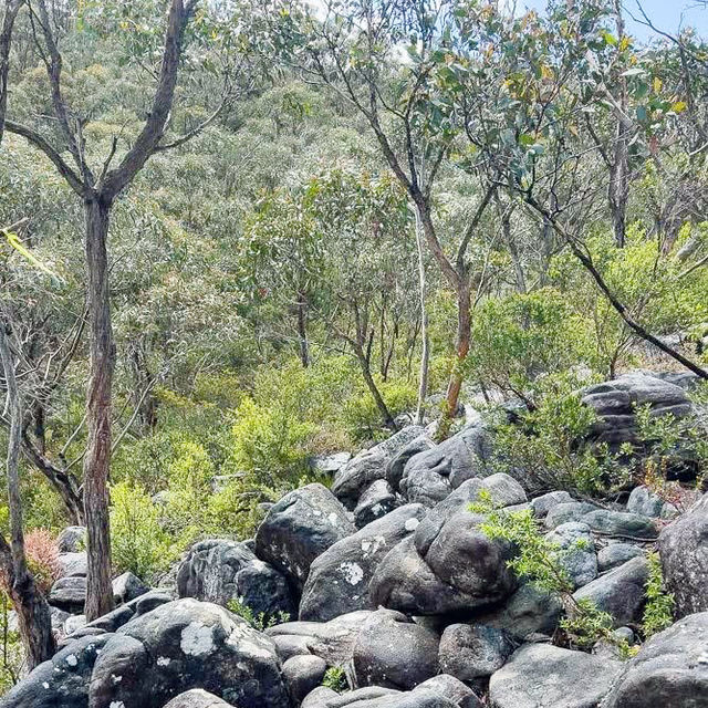 Breathtaking Views on the Grampians Hike 🇦🇺