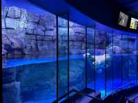 橫濱八景島海島樂園——與活力滿滿的海洋生物相遇！