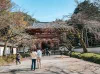 Daigoji Temple