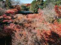 Tokufuji temple