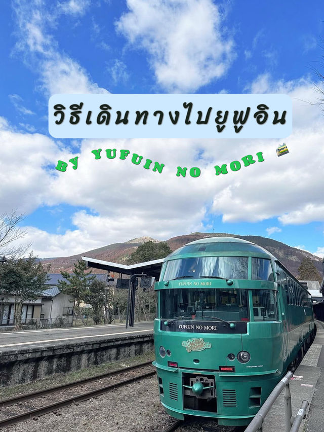 รีวิวการเดินทางรถไฟสีเขียวมะกอก ยูฟูอิน โนโมริ