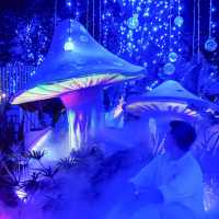 Magical Illusion 🎇✨