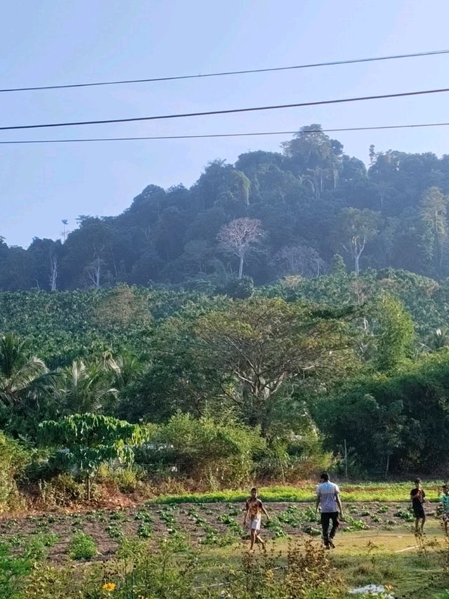 Havelock from KL