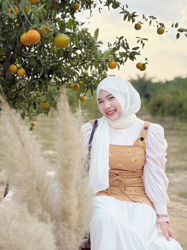สวนส้มบ้านในไร่ อ.อ่าวลึก จ.กระบี่ 🍊🪴