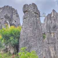 Shilin Stone Forest: Yunnan’s Breathtaking Natural Wonder