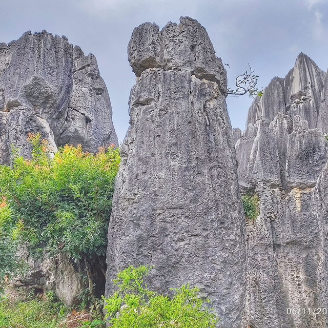 Shilin Stone Forest: Yunnan’s Breathtaking Natural Wonder