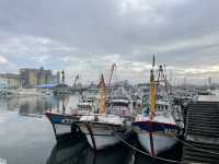 Wuqi Fishing Port: A Seafood Lover’s Paradise 🦐🐟