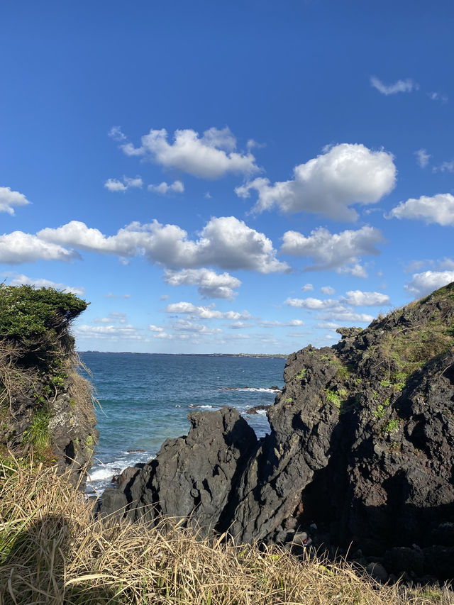 제주도 5박6일 여행 🍊 - ❷