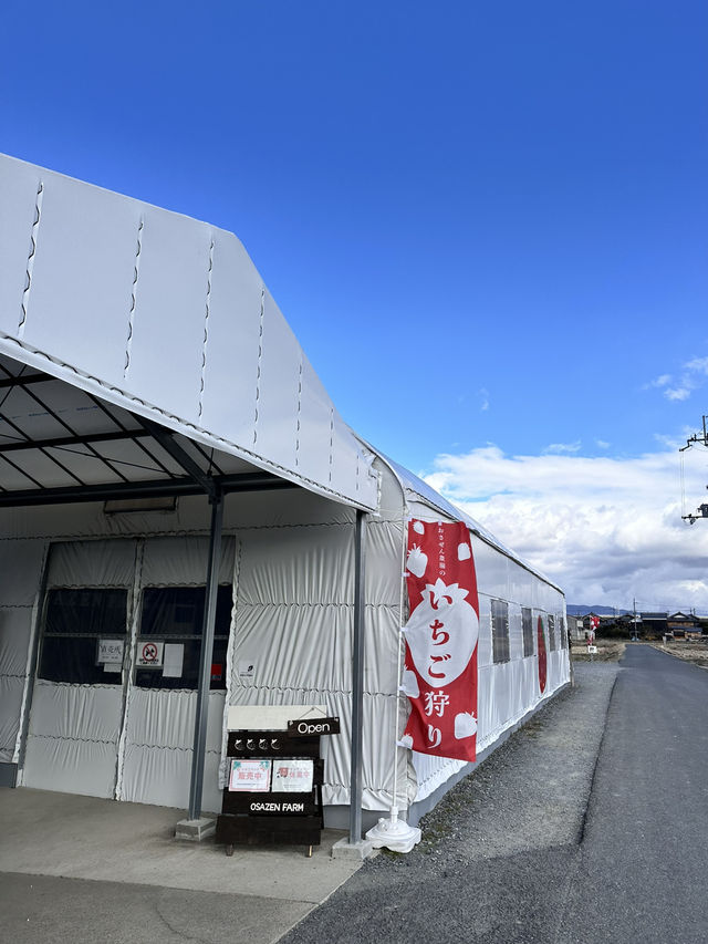 【京都】50分間食べ放題春先取りのいちごがりスポット