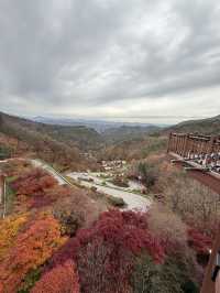 가을 단풍여행 스팟🍁