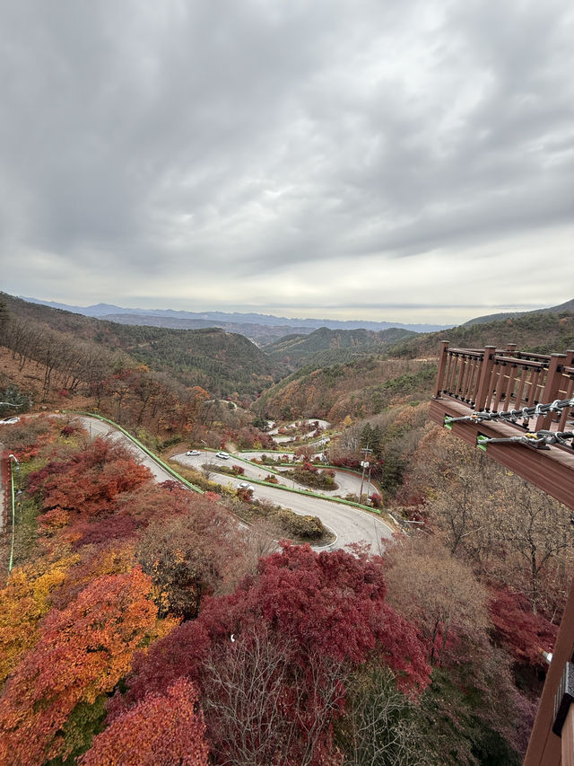 가을 단풍여행 스팟🍁