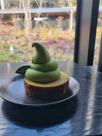 💗🍐제주 서쪽 가볼만한 곳 오설록 티뮤지엄 