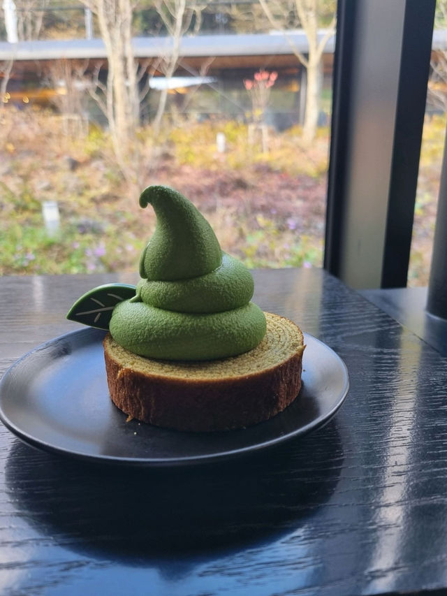 💗🍐제주 서쪽 가볼만한 곳 오설록 티뮤지엄 