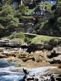  悉尼的海岸奇觀：Bondi to Coogee步道的絕美之旅 🌊🏞️ 