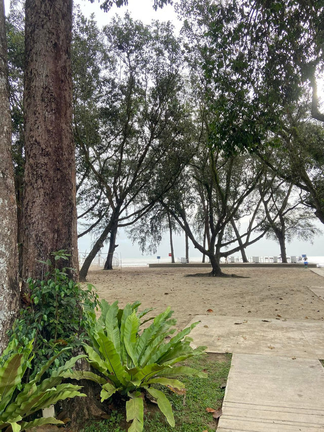 Enjoy Beautiful Surroundings and Breathtaking View