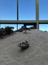Monterey Bay Aquarium