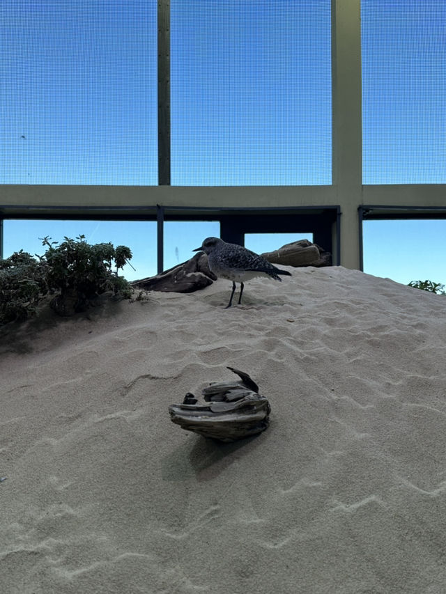 Monterey Bay Aquarium