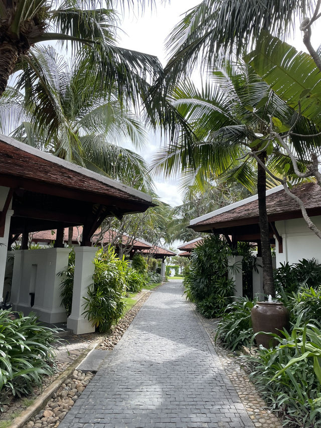 아기랑 겨울 해외여행지 추천:: 나트랑 깜란🌴