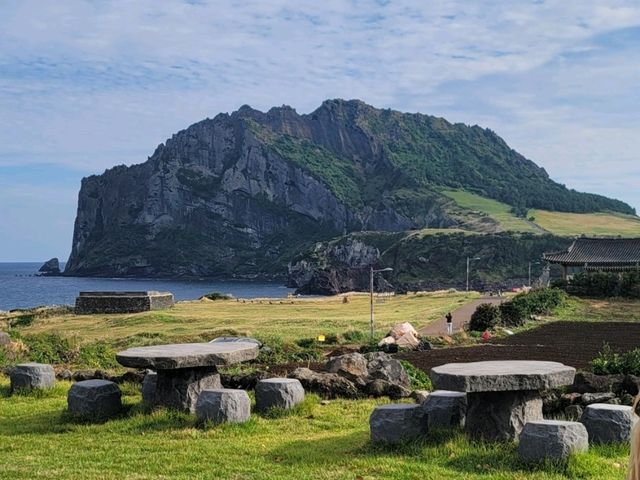 제주 성산일출봉 뷰 카페