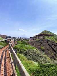 A Breathtaking Coastal Walk at Cape Schanck
