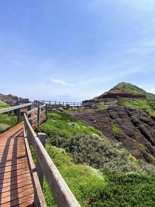 A Breathtaking Coastal Walk at Cape Schanck