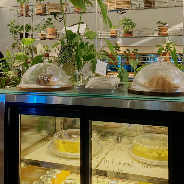 Finding Connections at Titik Temu Coffee