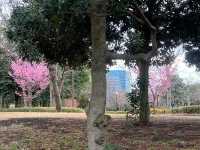 木場公園