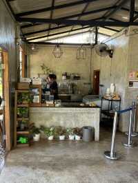 チェンマイ🇹🇭🐘と触れ合えるcafe