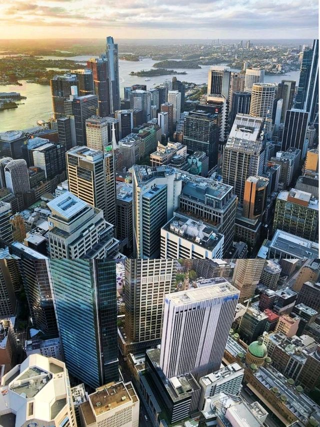 360° overlooking the breathtaking Sydney cityscape on The Sydney Tower Eye. 