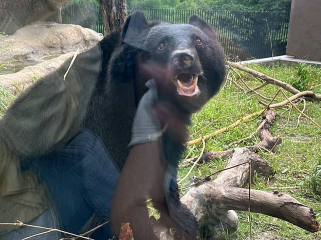 Okinawa Zoo & Museum
